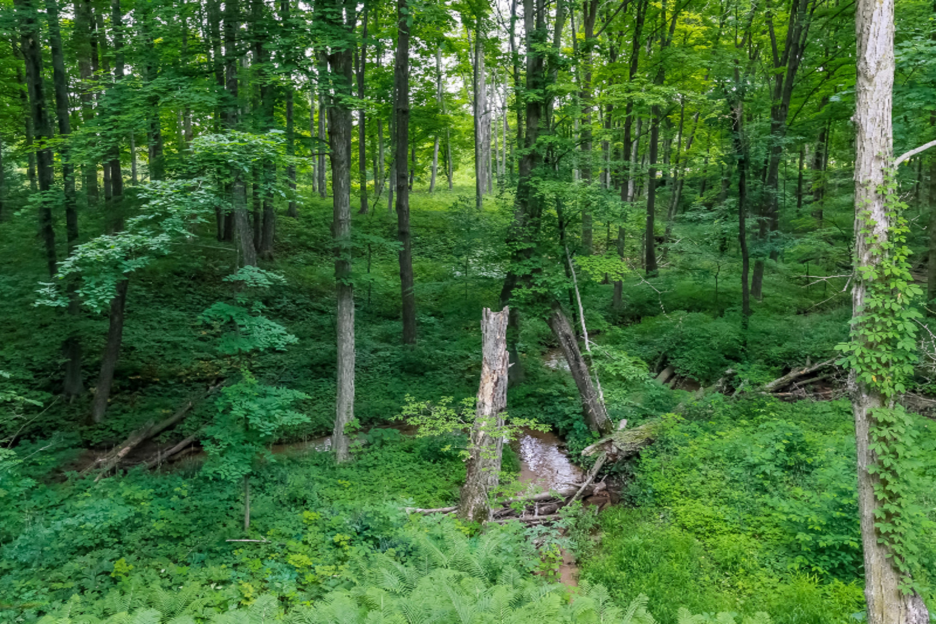 6581 Riverside Lane Middleville, MI 49333 - Photo 7 of 35 044-Exterior-5921608-print