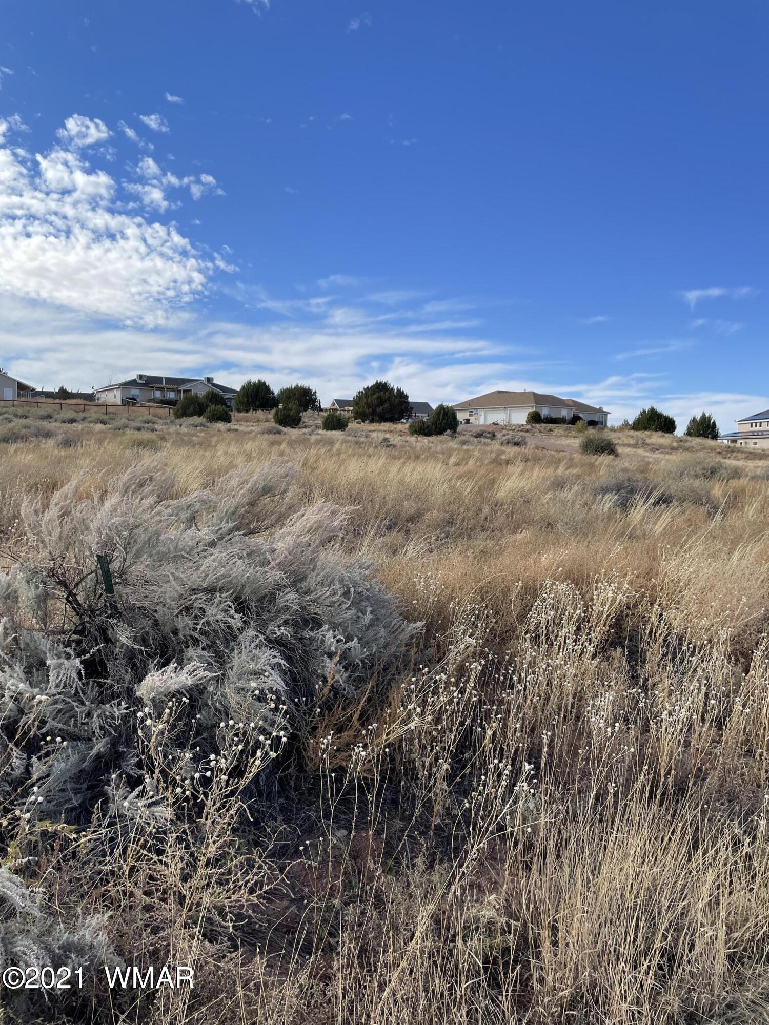 2900 Bourdon Ranch Road Taylor, AZ 85939 - Photo 4 of 8