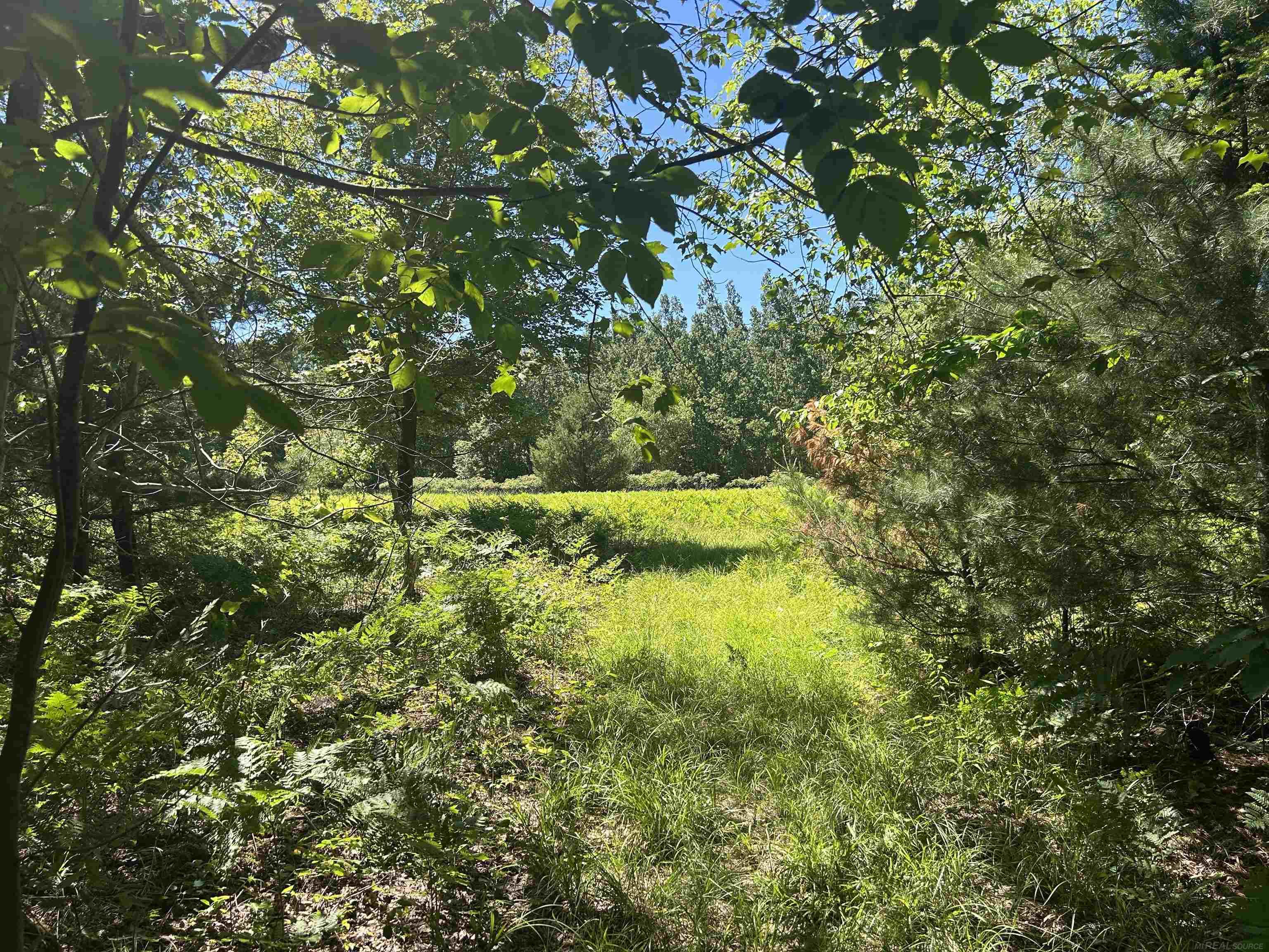 2263 Elder Road Carp Lake, MI 49718 - Photo 36 of 44