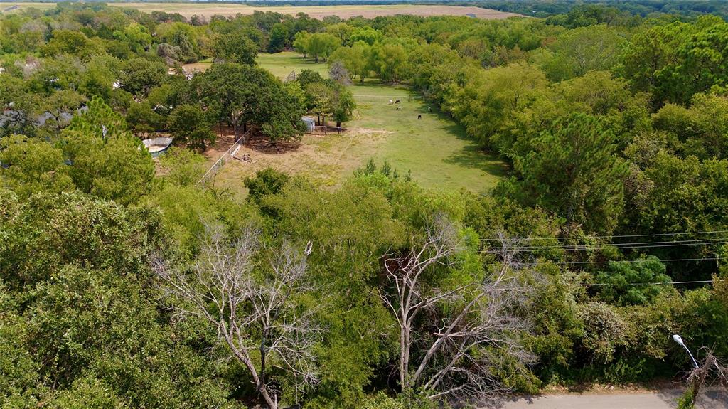 1900 Haymarket Road Dallas, TX 75253 - Photo 12 of 14 a view of a garden with a tree