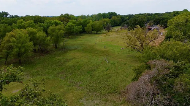 a view of a bunch of trees with some trees
