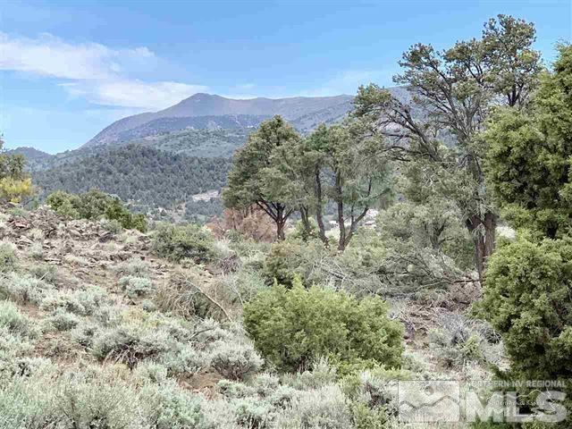 4410 Rocky Road Reno, NV 89521 - Photo 2 of 6 a view of a forest with mountains in the background