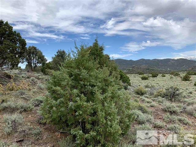 4410 Rocky Road Reno, NV 89521 - Photo 4 of 6 a view of mountain view with lots of trees