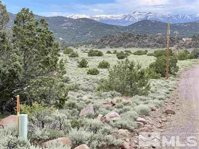 4410 Rocky Road Reno, NV 89521 - Photo 6 of 6 a view of a yard with a mountain and trees