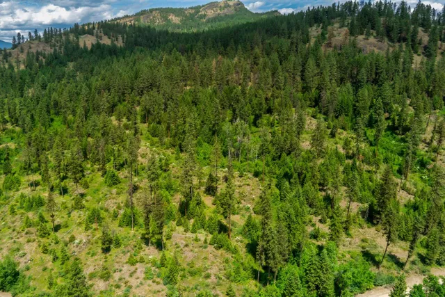 $295,000 | 3124 Orient Cutoff Road, Kettle Falls, WA 99141