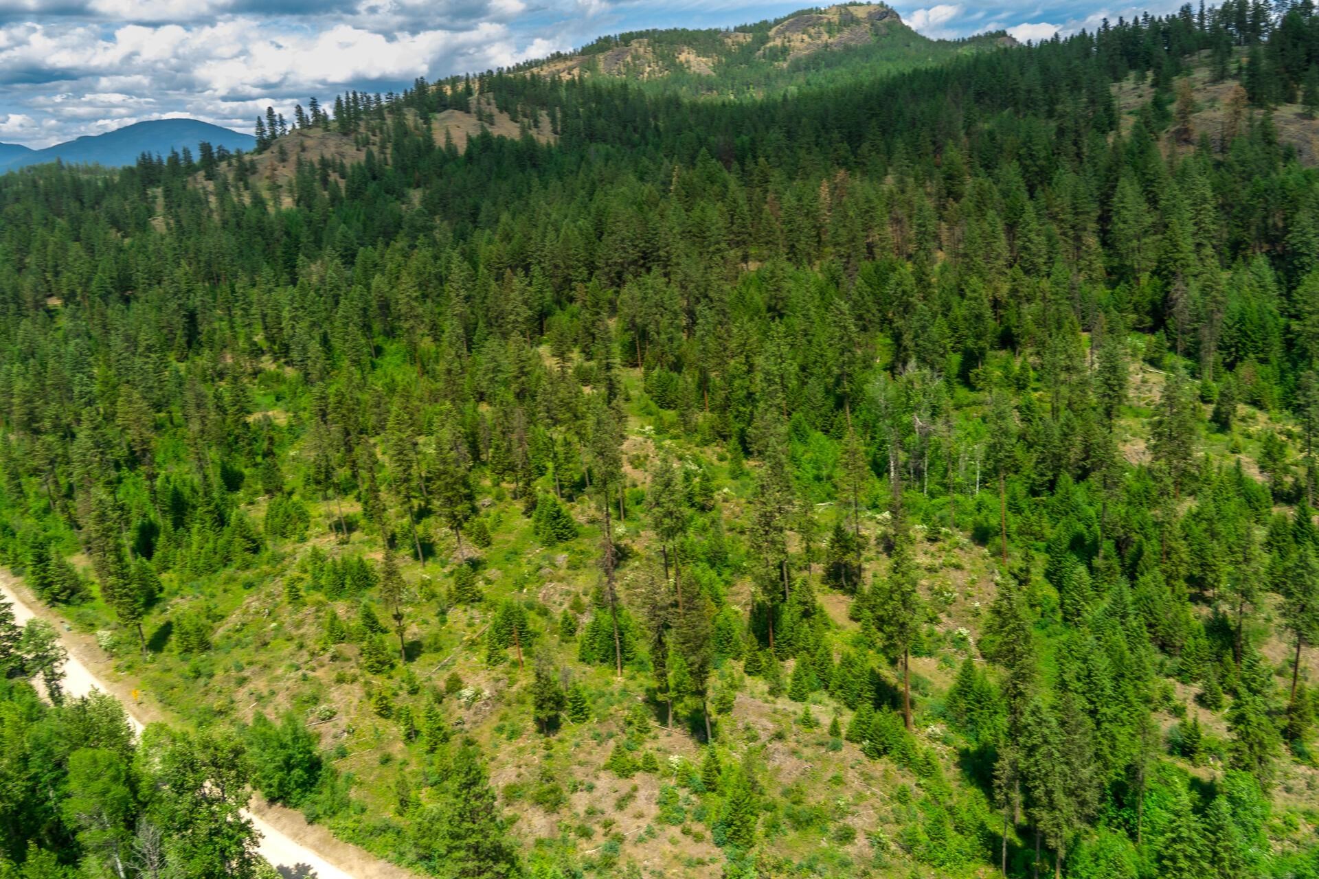 3124 Orient Cutoff Road Kettle Falls, WA 99141 - Photo 13 of 27