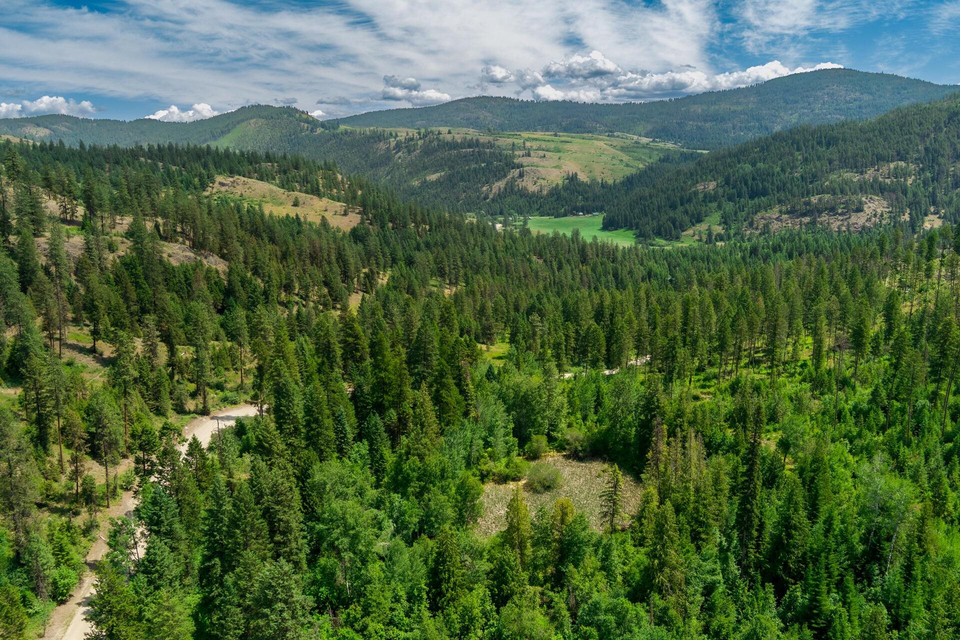 3124 Orient Cutoff Road Kettle Falls, WA 99141 - Photo 14 of 27