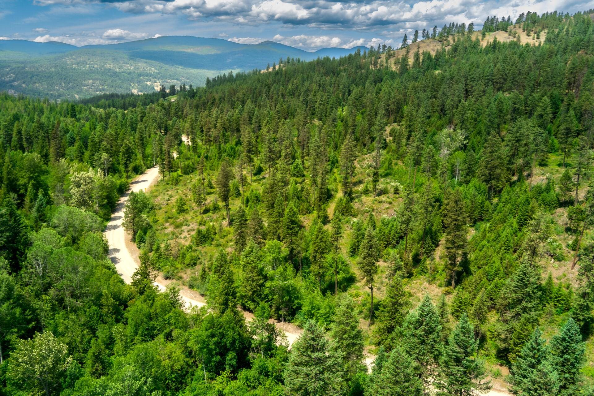 3124 Orient Cutoff Road Kettle Falls, WA 99141 - Photo 15 of 27