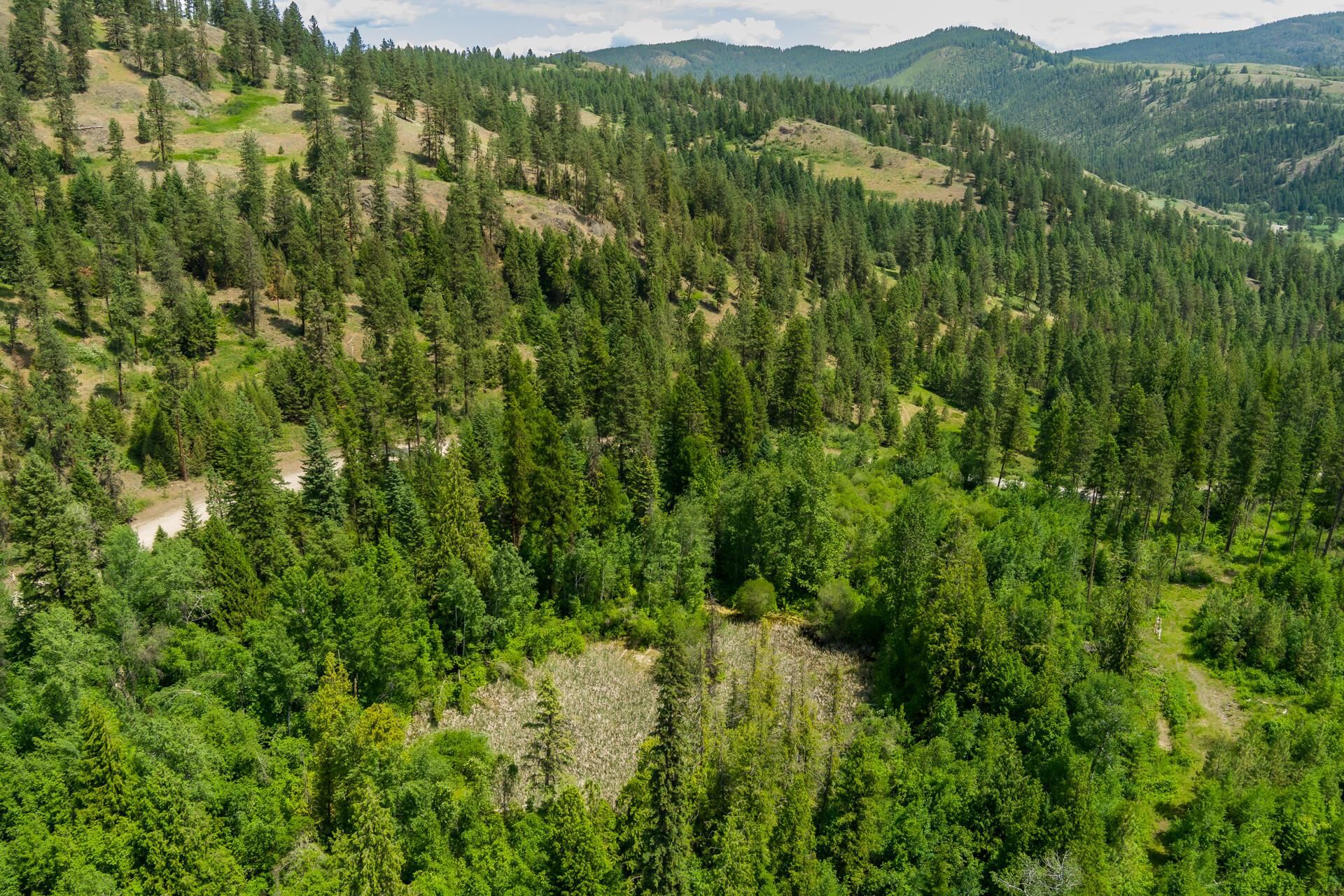 3124 Orient Cutoff Road Kettle Falls, WA 99141 - Photo 16 of 27