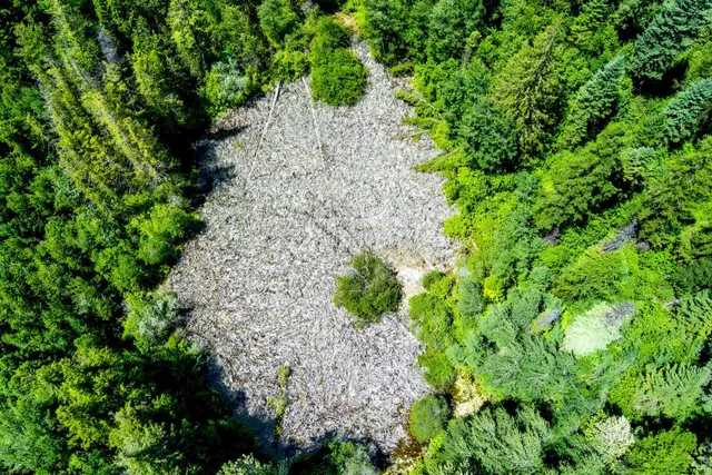 $295,000 | 3124 Orient Cutoff Road, Kettle Falls, WA 99141