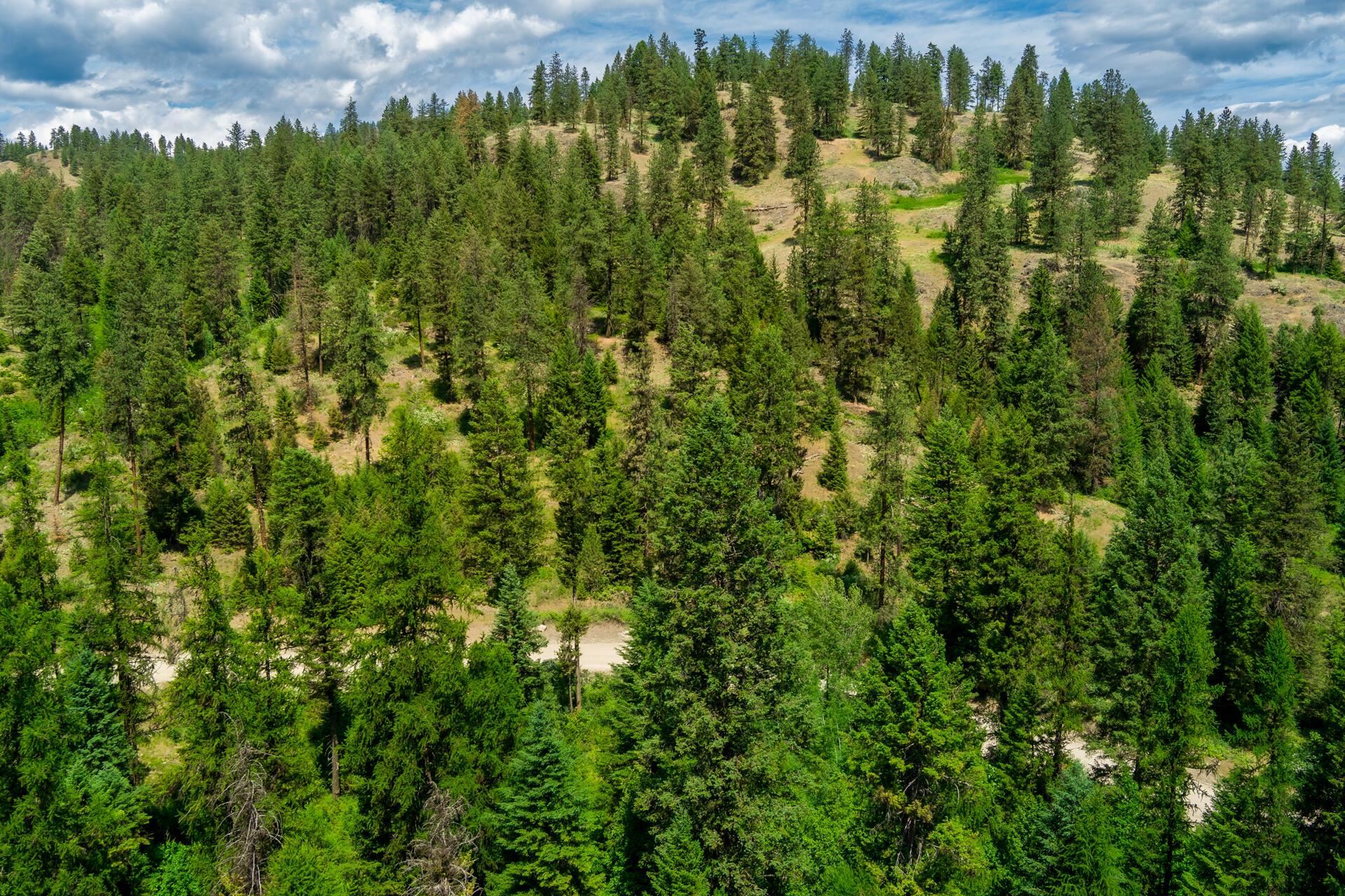 3124 Orient Cutoff Road Kettle Falls, WA 99141 - Photo 21 of 27