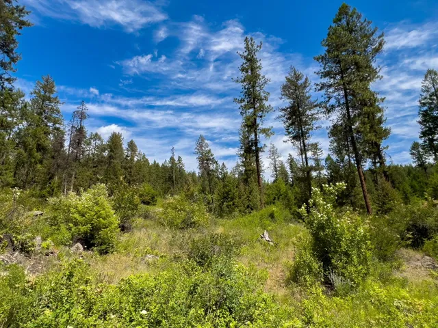 $295,000 | 3124 Orient Cutoff Road, Kettle Falls, WA 99141