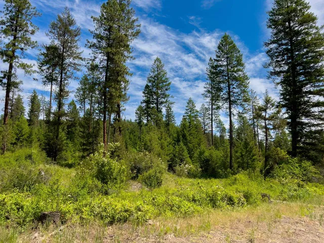 $295,000 | 3124 Orient Cutoff Road, Kettle Falls, WA 99141