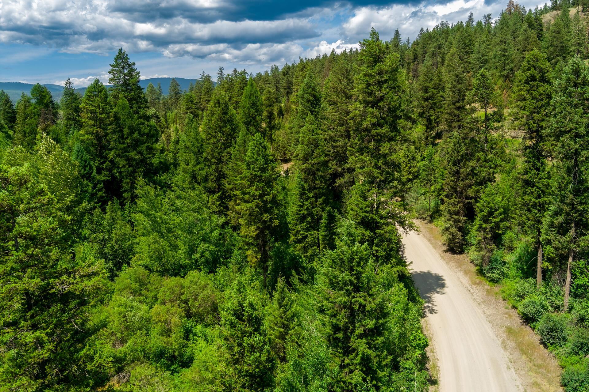 3124 Orient Cutoff Road Kettle Falls, WA 99141 - Photo 4 of 27