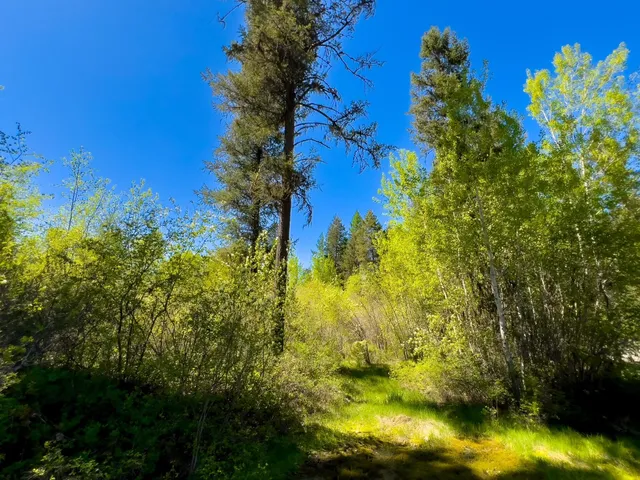 $295,000 | 3124 Orient Cutoff Road, Kettle Falls, WA 99141