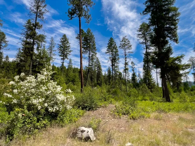 $295,000 | 3124 Orient Cutoff Road, Kettle Falls, WA 99141