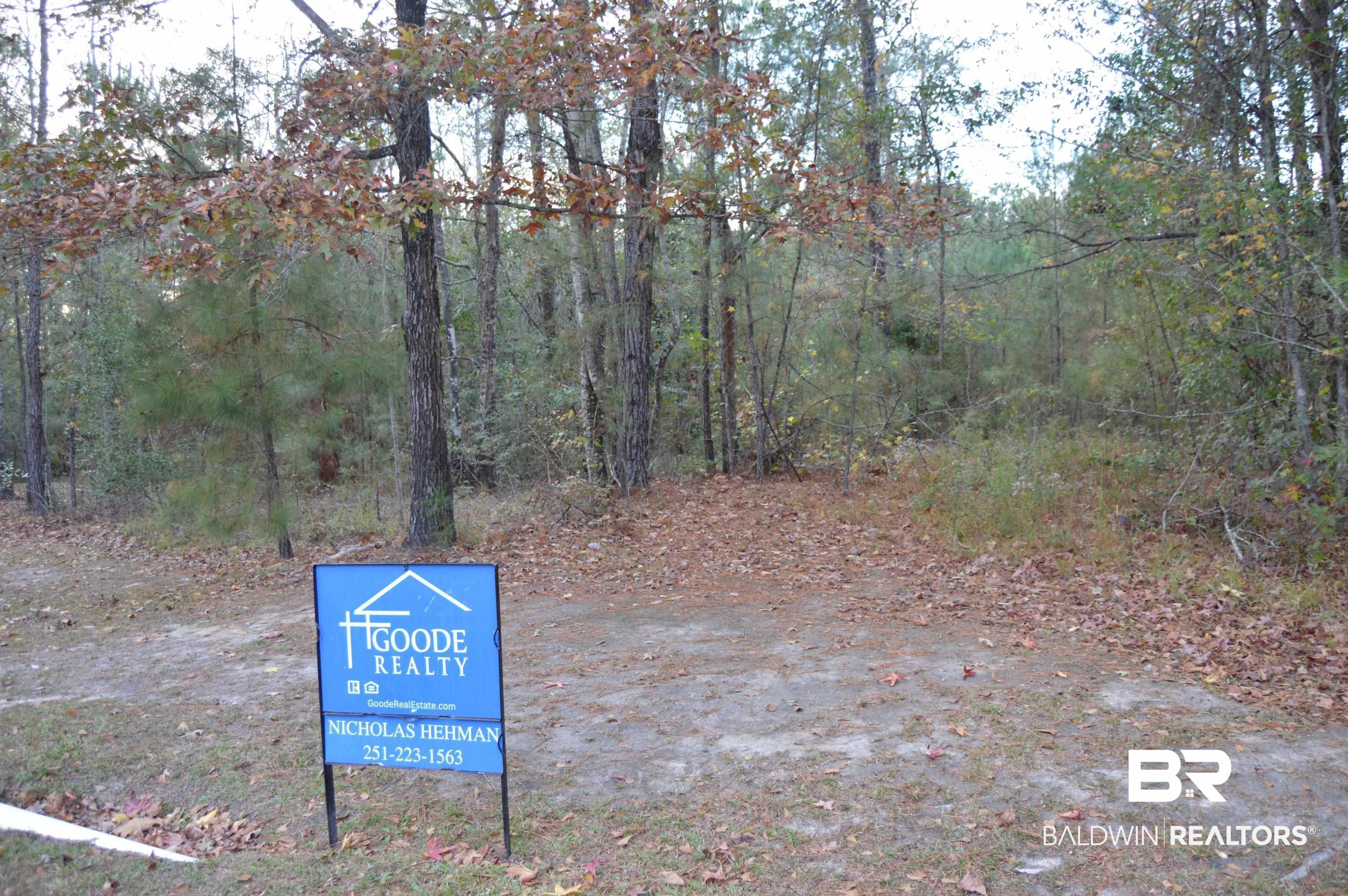 8 Marlin Street Stockton, AL 36579 - Photo 11 of 12 View of street with a forest view