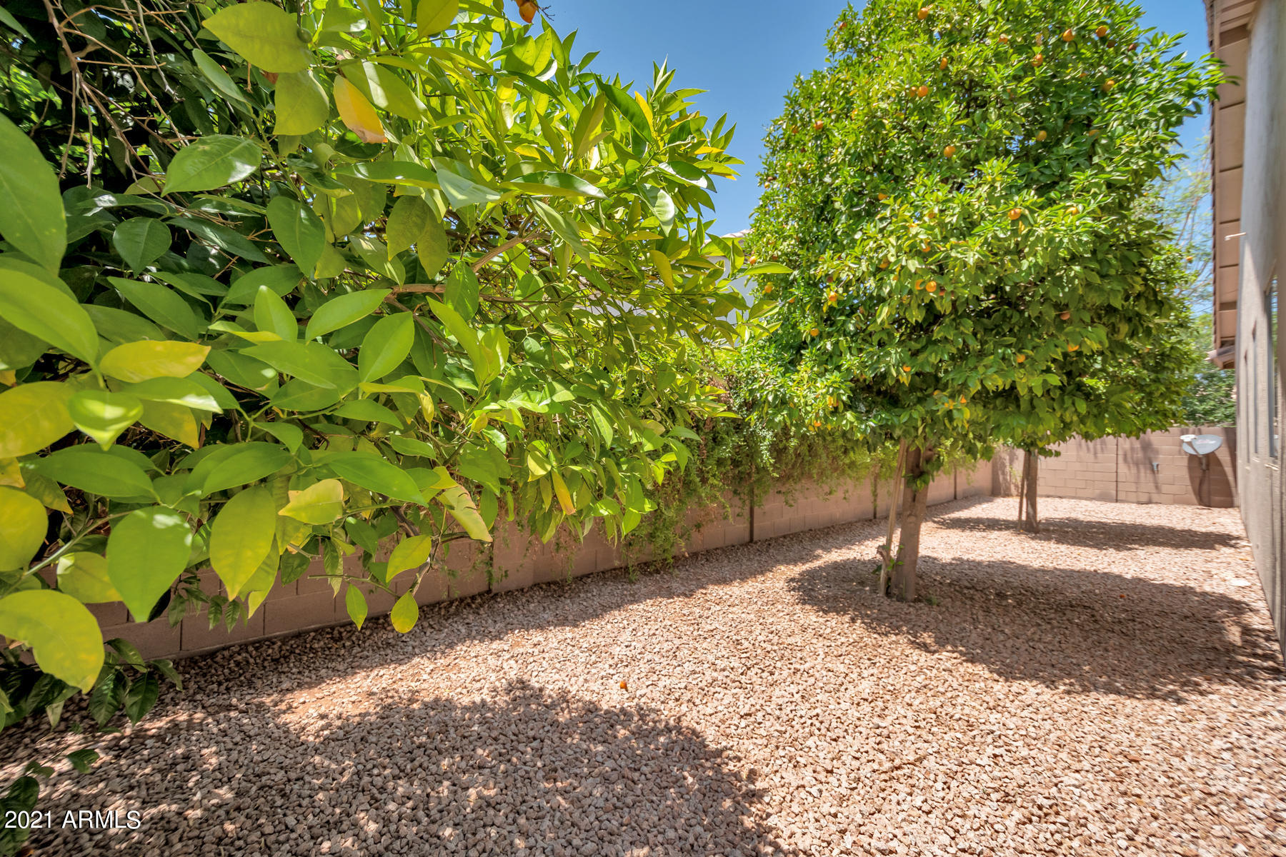 2851 East Ranch Court Gilbert, AZ 85296 - Photo 41 of 59 QPT - DSC_5875