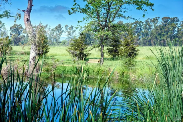 $4,995,000 | 21000 8th Street East, Sonoma, CA 95476