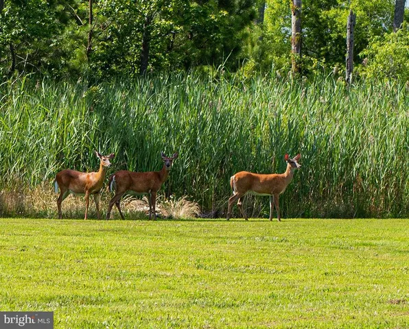 $829,900 | 11845 Man O War Lane, Berlin, MD 21811