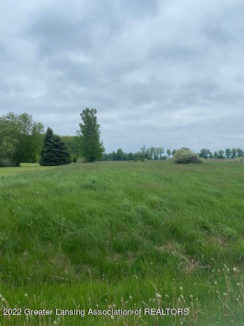 0 East Mead Road Elsie, MI 48831 - Photo 2 of 2 IMG_6542