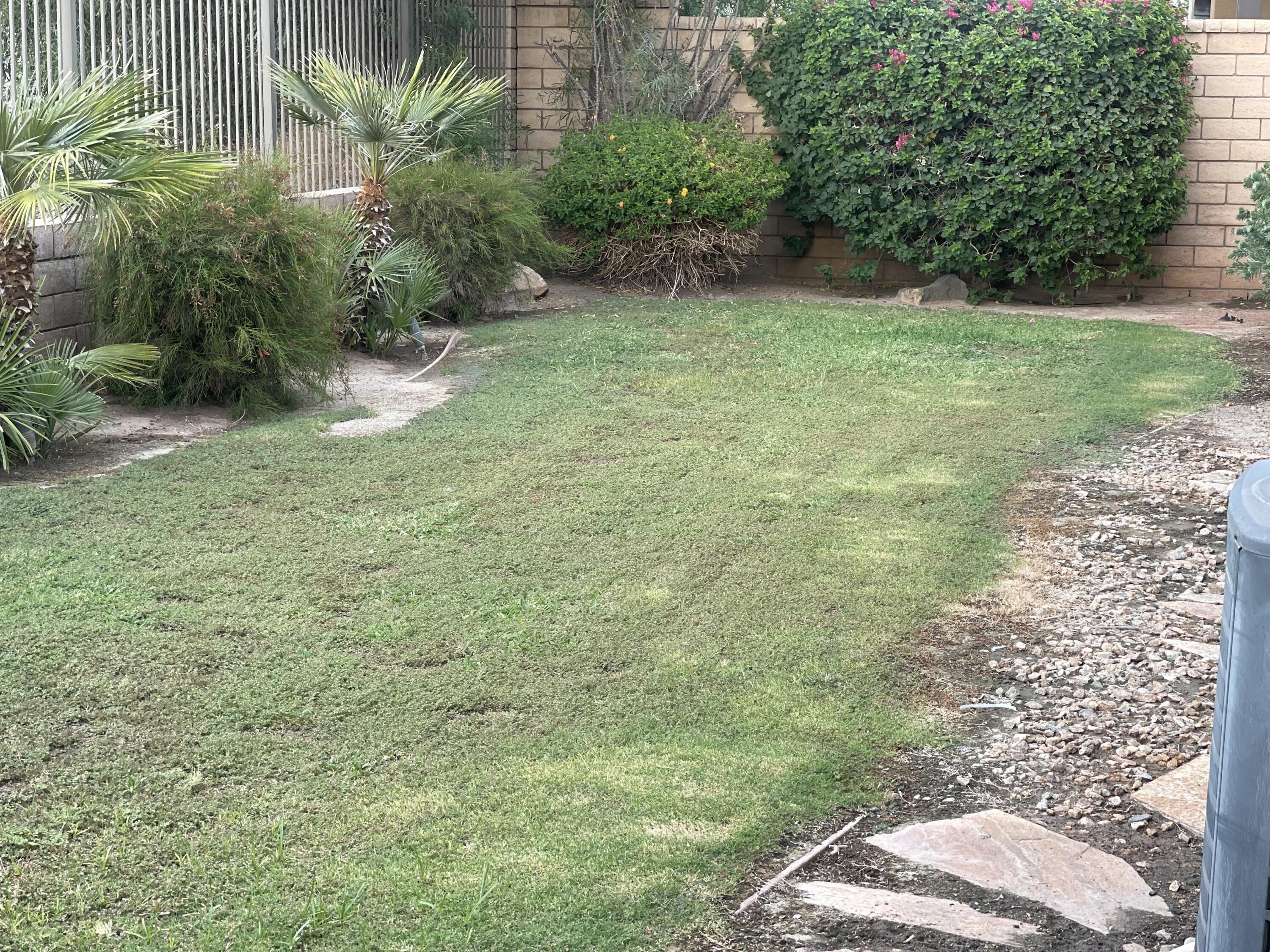 82796 Mount Riley Drive Indio, CA 92203 - Photo 21 of 24 82796 Mount Riley Dr BACK YARD