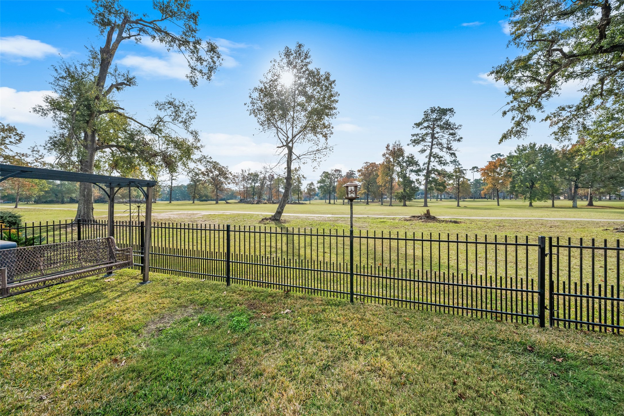 20256 Ivy Point Circle Humble, TX 77346 - Photo 30 of 36 a view of a backyard