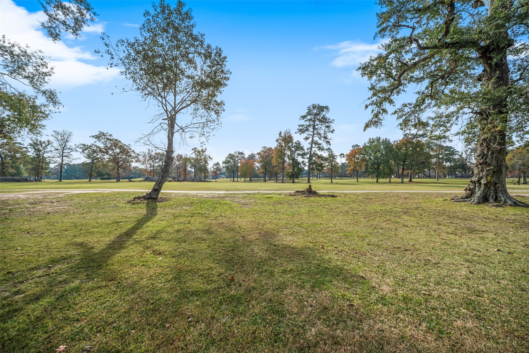 20256 Ivy Point Circle Humble, TX 77346 - Photo 31 of 36 a view of a field with an trees