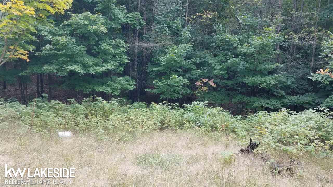 Nhn North 27th Road Mesick, MI 49668 - Photo 4 of 11