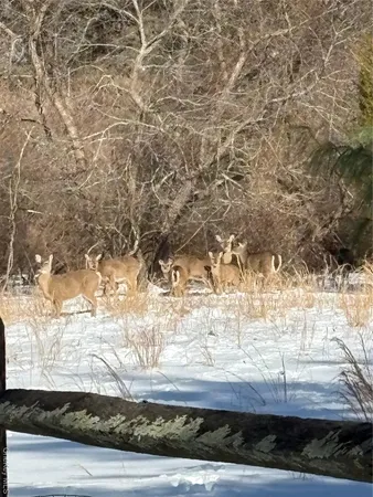 a room with lots of furniture and a rug