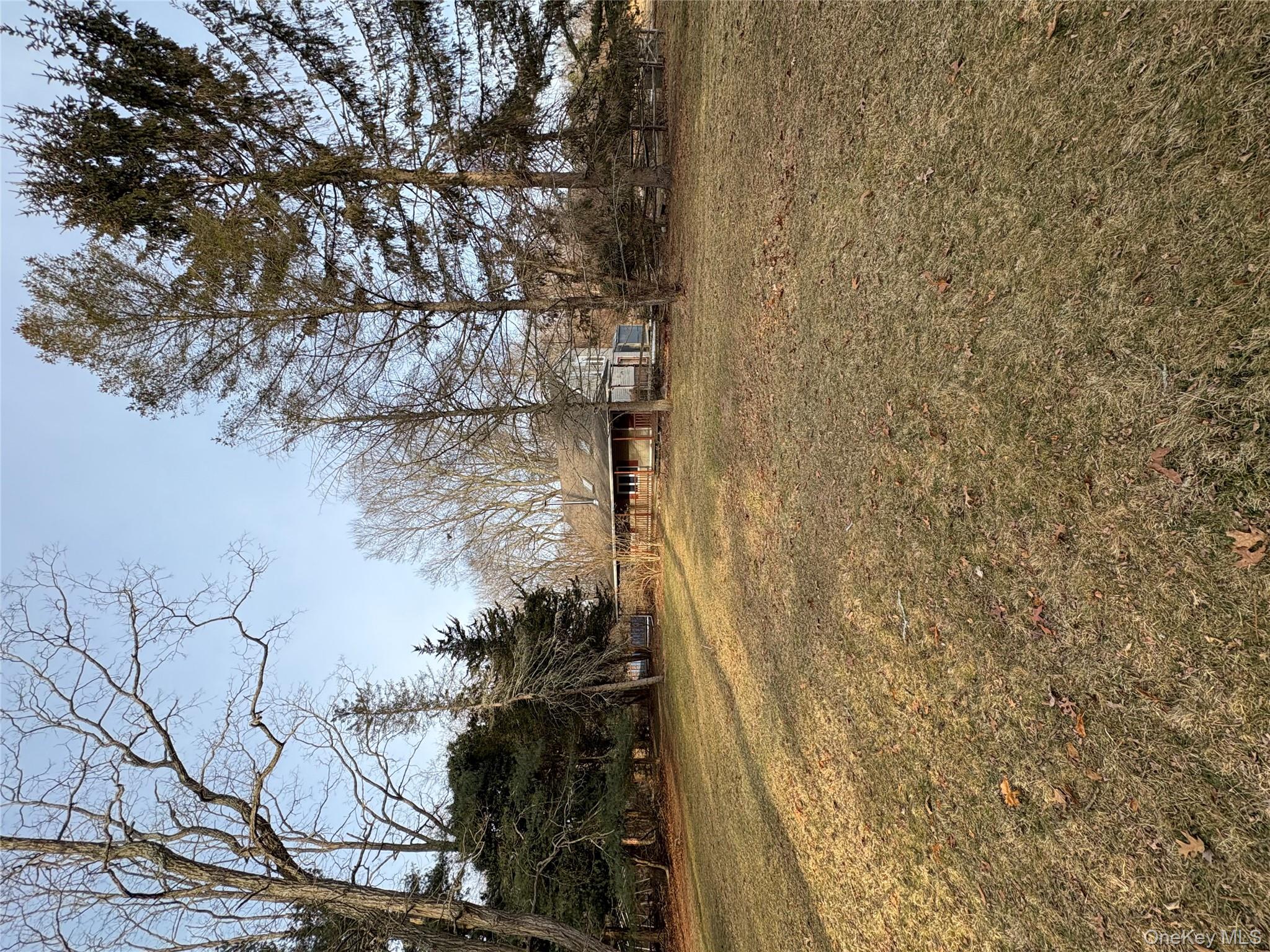 58 Coram Swezeytown Road Middle Island, NY 11953 - Photo 8 of 26 a view of yard with trees