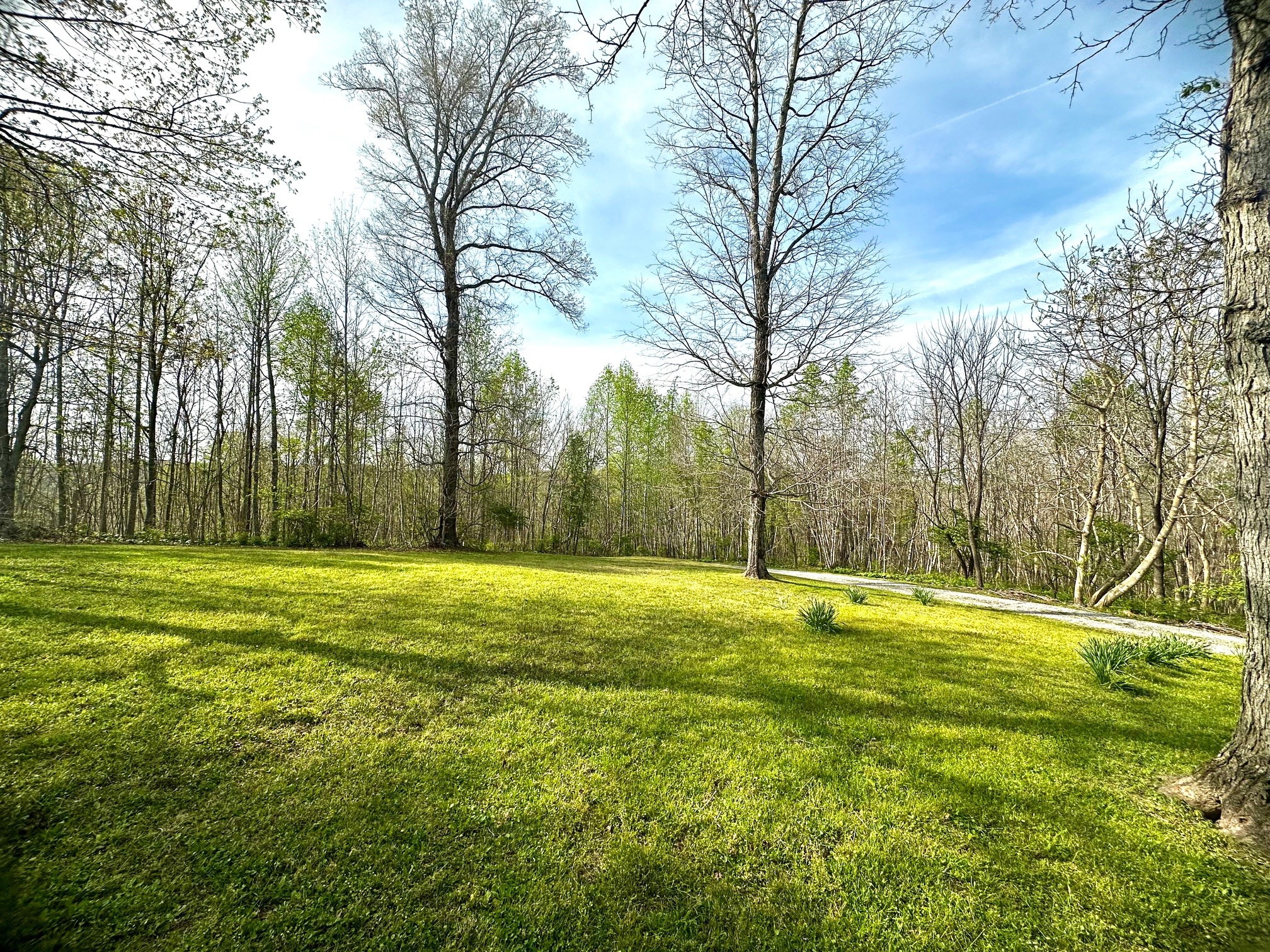 5292 Old Harding Road Franklin, TN 37064 - Photo 2 of 25 a view of a field with trees in the background