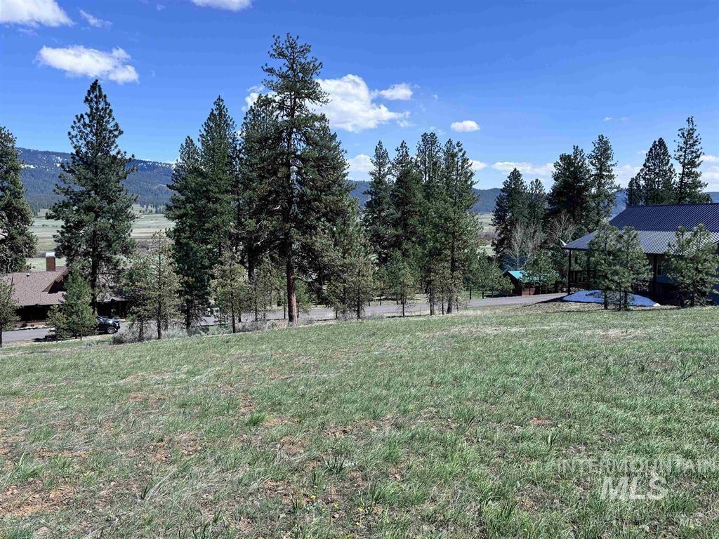 Lot 19 Hot Springs Road New Meadows, ID 83654 - Photo 17 of 28