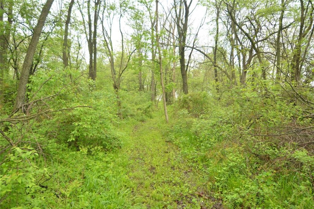 11224 West Base Line Road Jamestown, IN 46147 - Photo 4 of 24