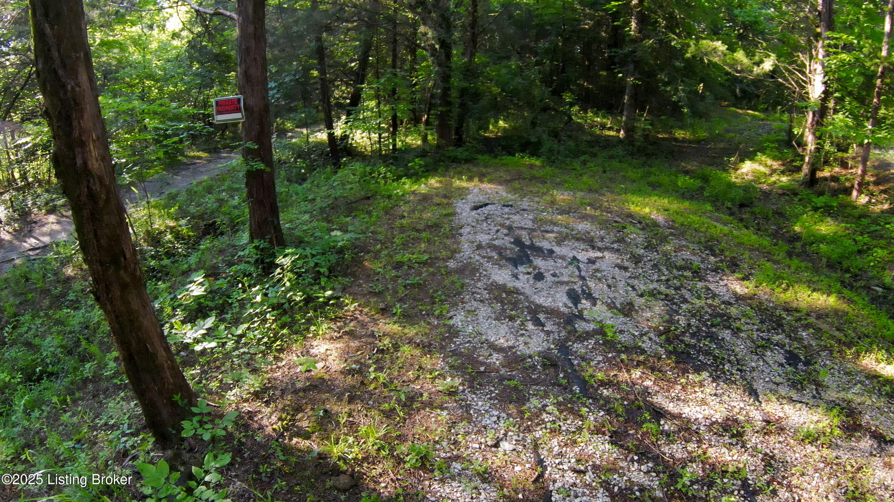 0 Grayson Springs Road Leitchfield, KY 42754 - Photo 16 of 35 26