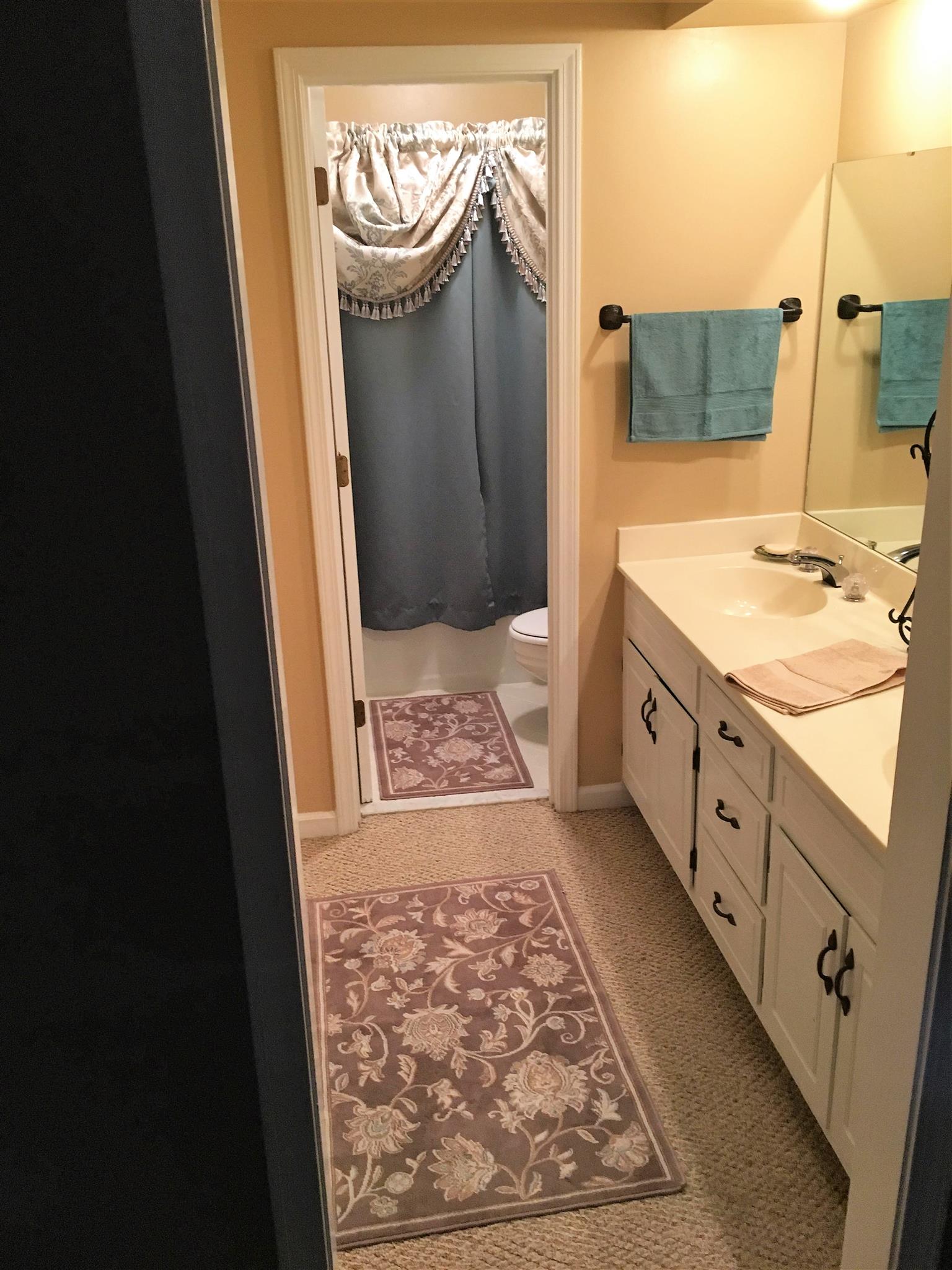 1252 General George Patton Road Nashville, TN 37221 - Photo 27 of 30 a bathroom with a sink mirror and shower