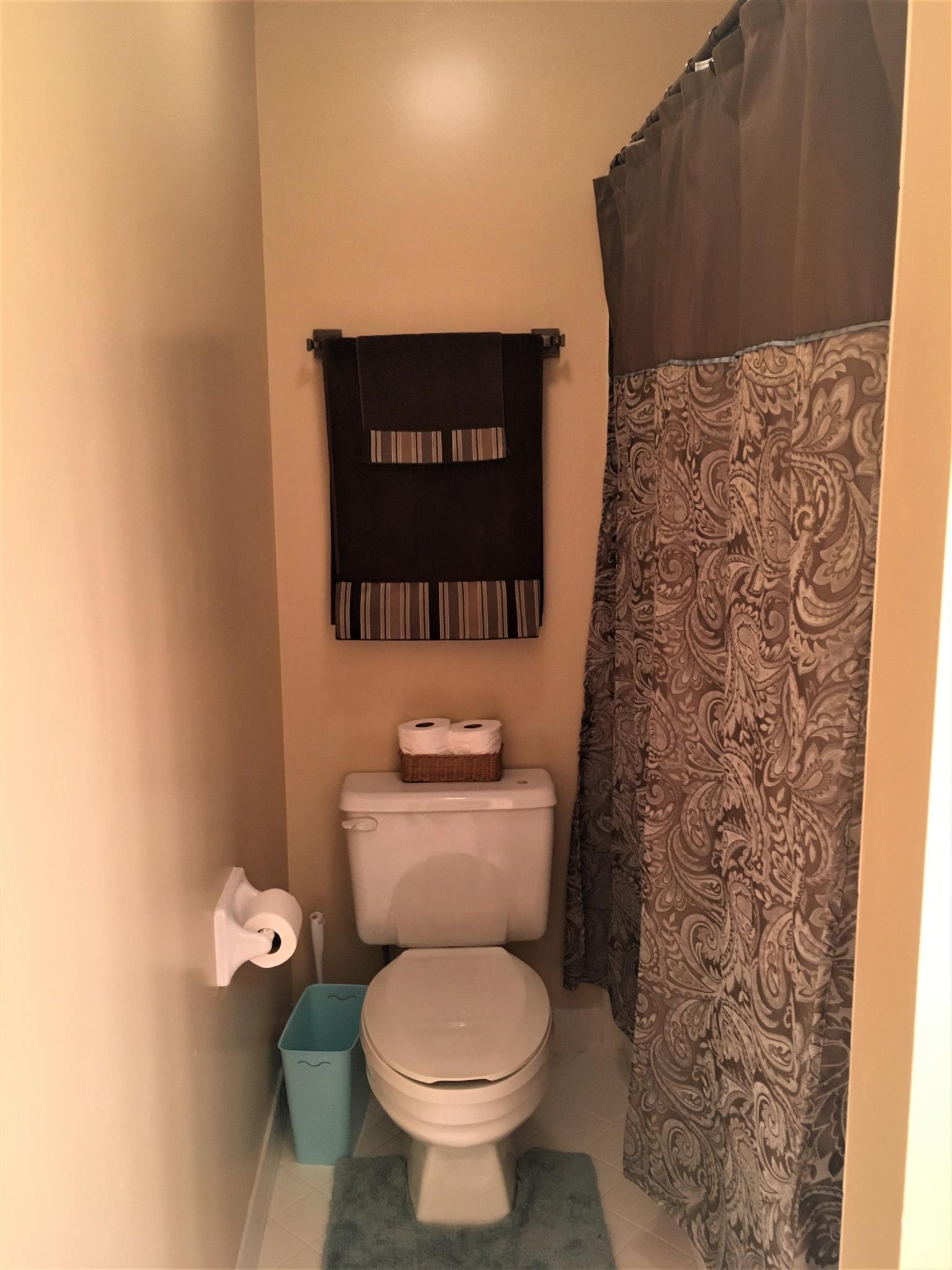 1252 General George Patton Road Nashville, TN 37221 - Photo 28 of 30 a bathroom with a toilet and a painting