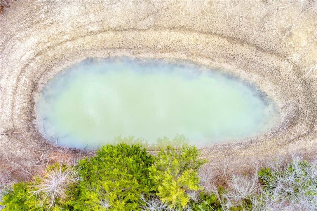 163 Hcr 3326 Road Hubbard, TX 76648 - Photo 11 of 20 a close up of a plant in a garden