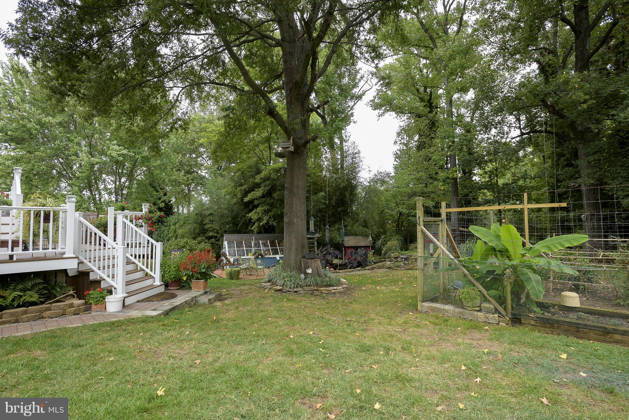3917 Rhode Harbor Road Edgewater, MD 21037 - Photo 22 of 28 Back Yard