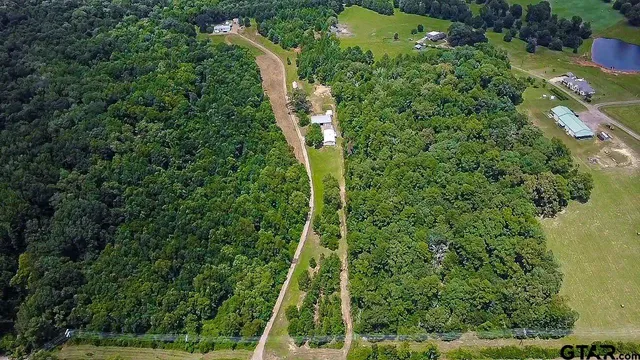 a map view of a forest