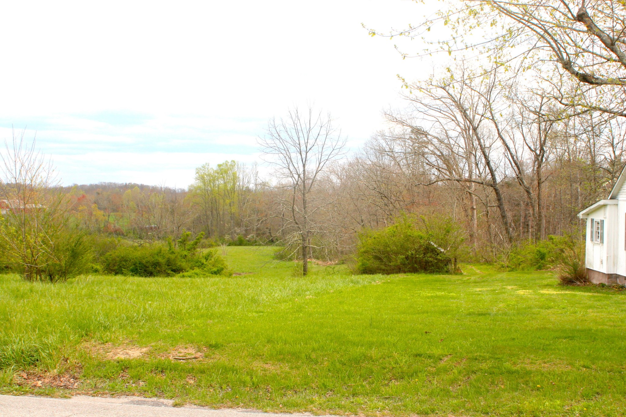 1953 Roslin Road Jamestown, TN 38556 - Photo 6 of 19 a view of an outdoor space and mountain view