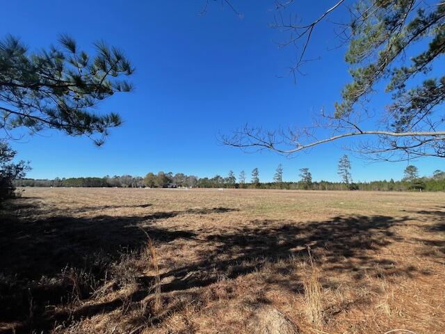 10 Rambling Lane Cross, SC 29436 - Photo 11 of 14 IMG_6456