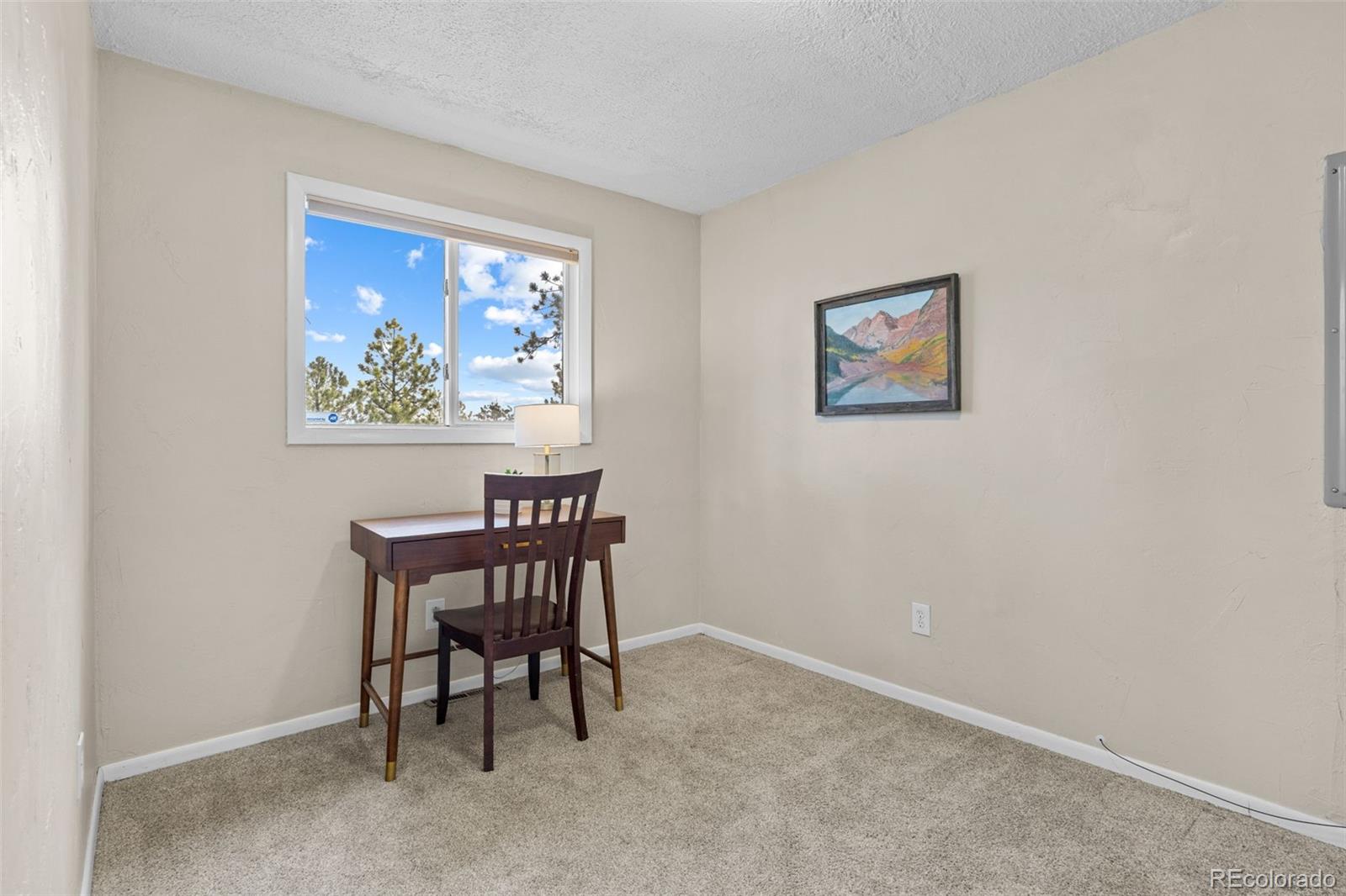 1995 Mockingbird Trail Bailey, CO 80421 - Photo 11 of 18