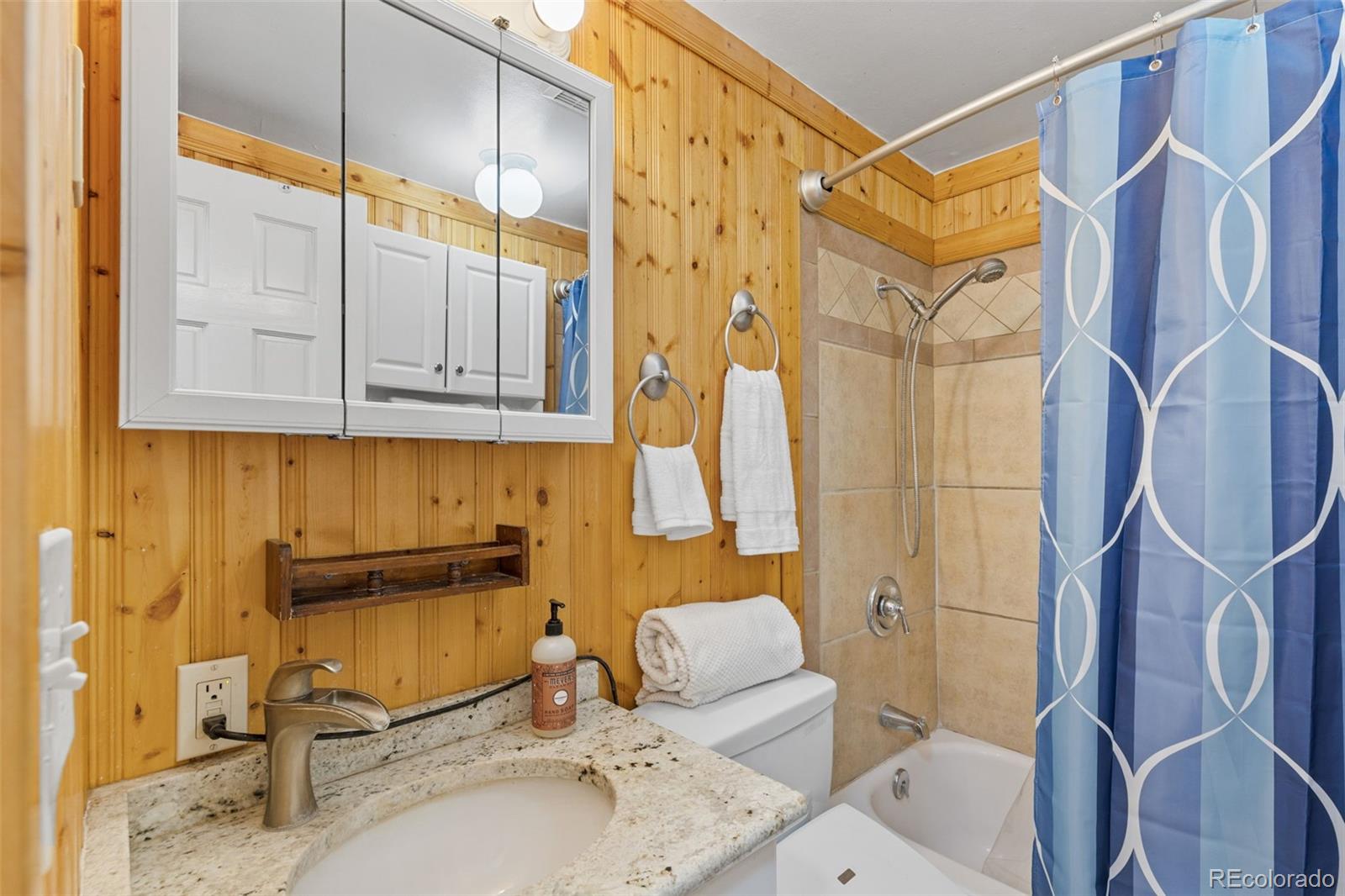 1995 Mockingbird Trail Bailey, CO 80421 - Photo 20 of 24 a bathroom with a sink toilet and shower