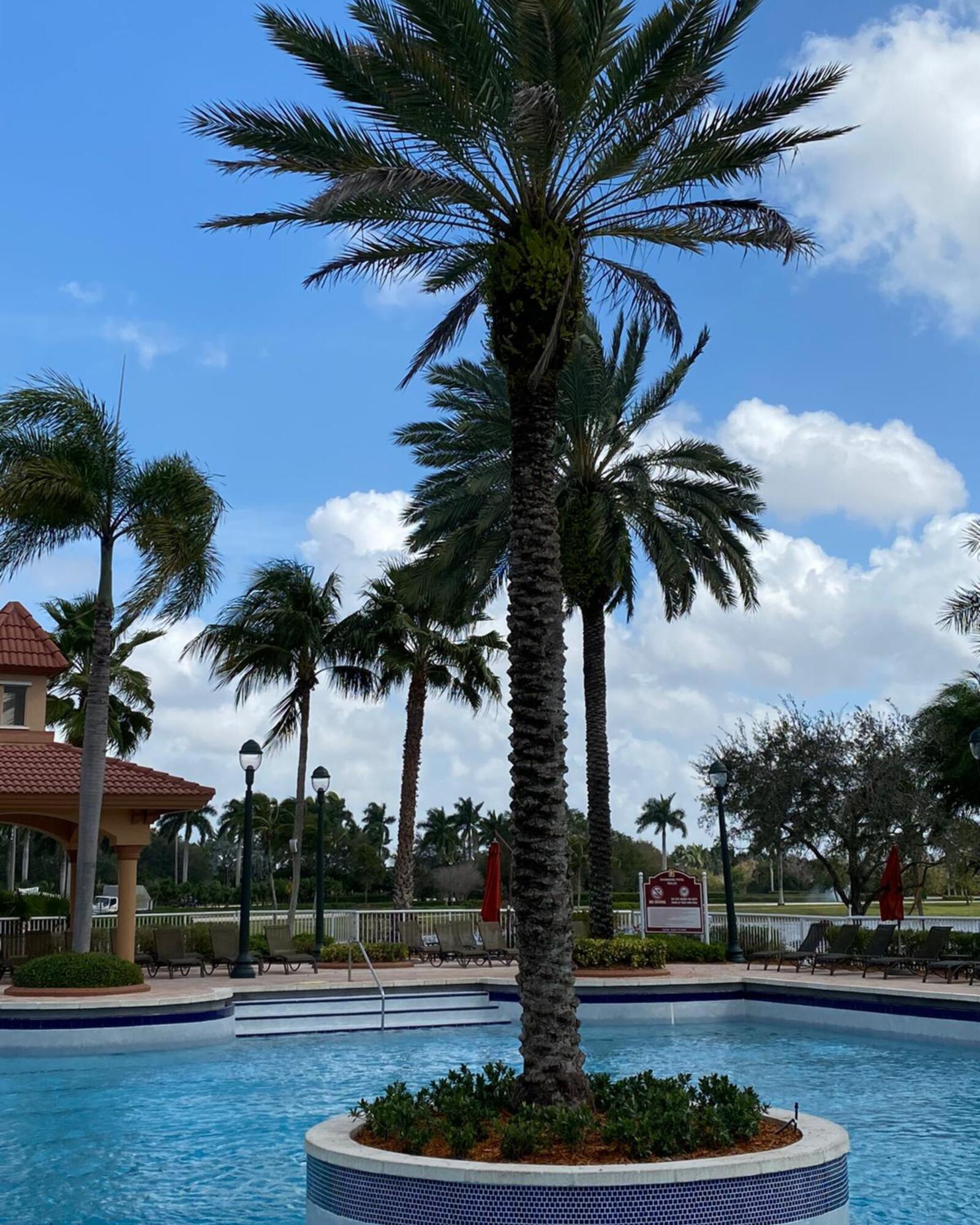 18803 Southwest 26th Street Miramar, FL 33029 - Photo 28 of 29 3