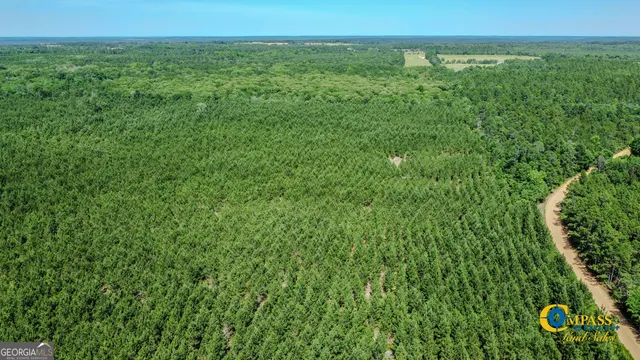 $106,400 | 0 Miller Road West, Mauk, GA 31058