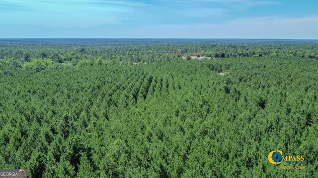 $106,400 | 0 Miller Road West, Mauk, GA 31058