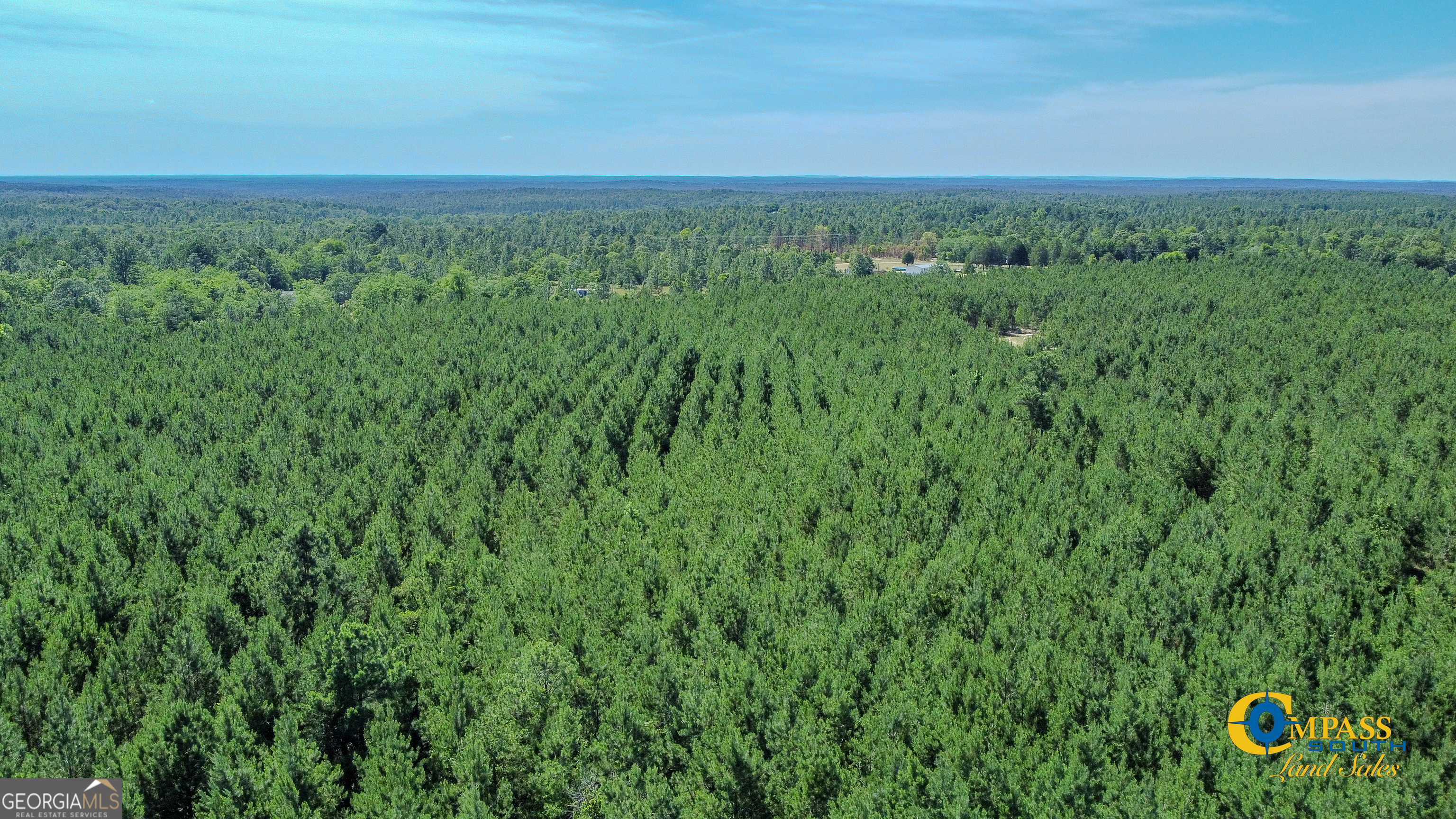 0 Miller Road West Mauk, GA 31058 - Photo 2 of 5