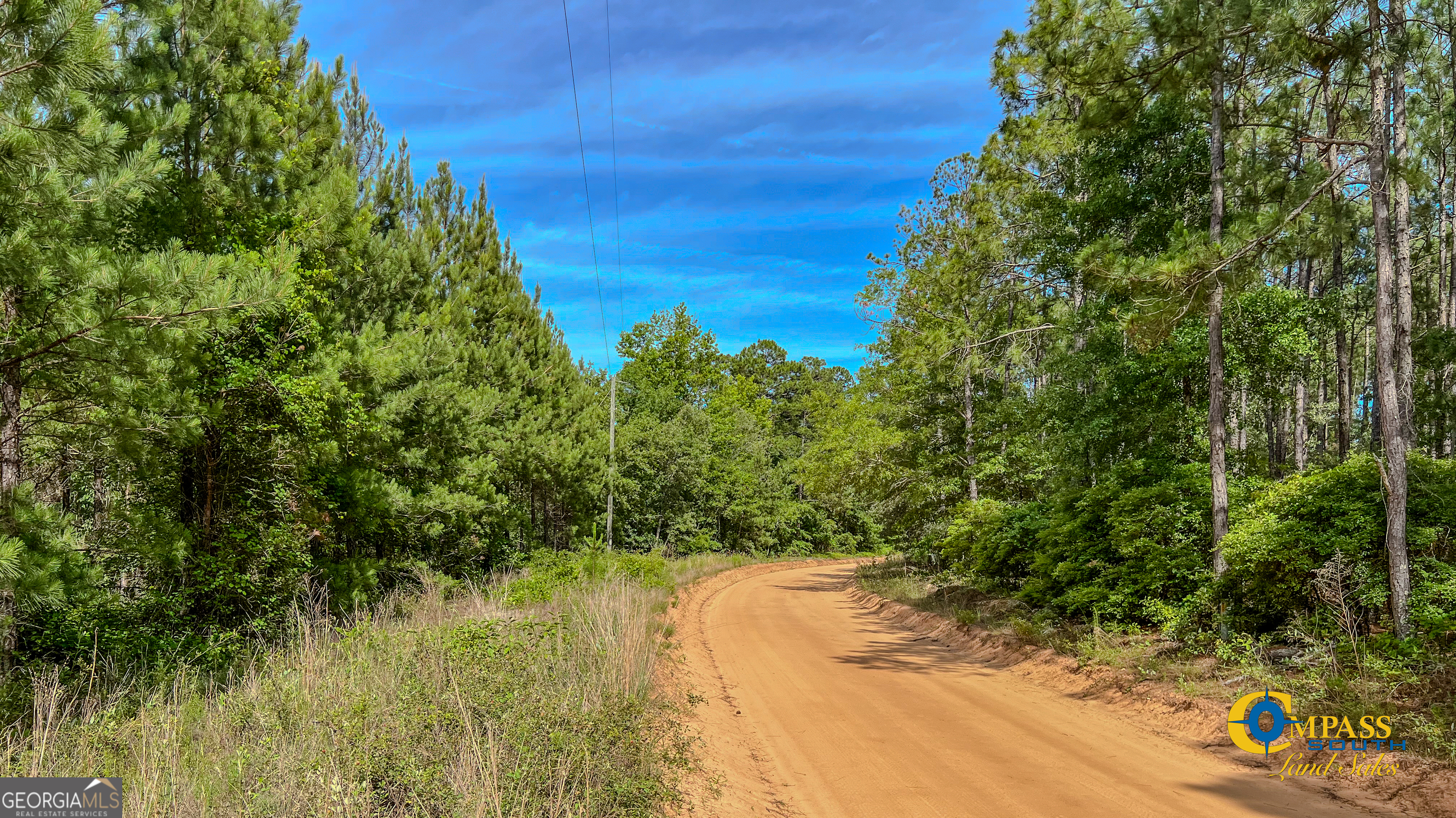 0 Miller Road West Mauk, GA 31058 - Photo 3 of 5