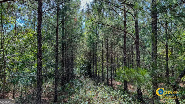 $106,400 | 0 Miller Road West, Mauk, GA 31058